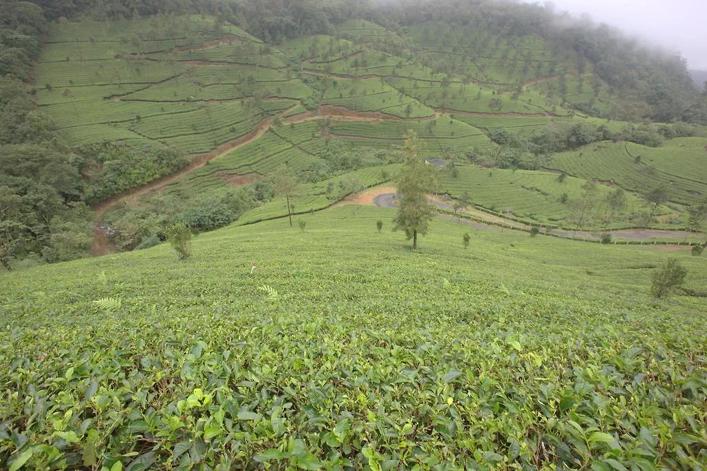 Grand Plaza Hotel Munnar
