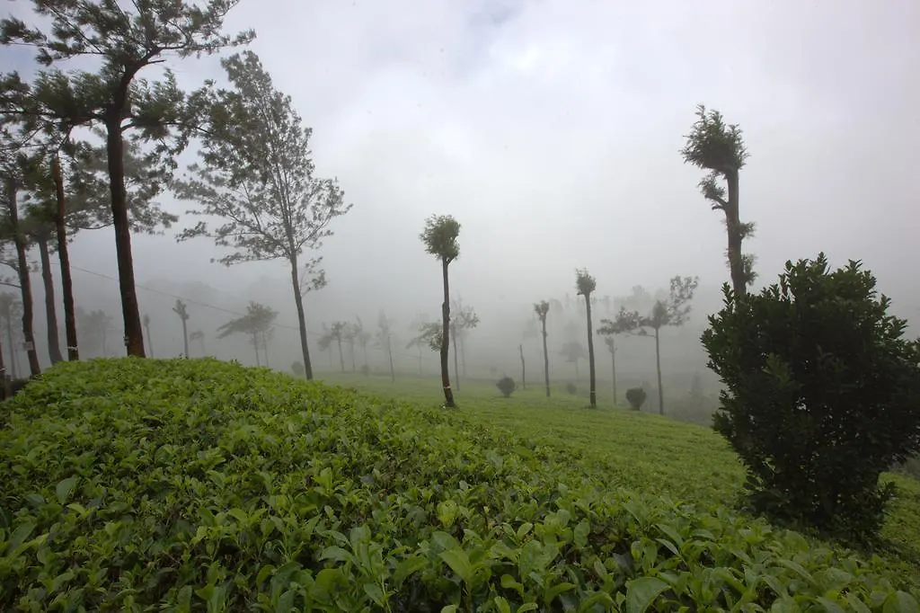 Grand Plaza Hotel Munnar