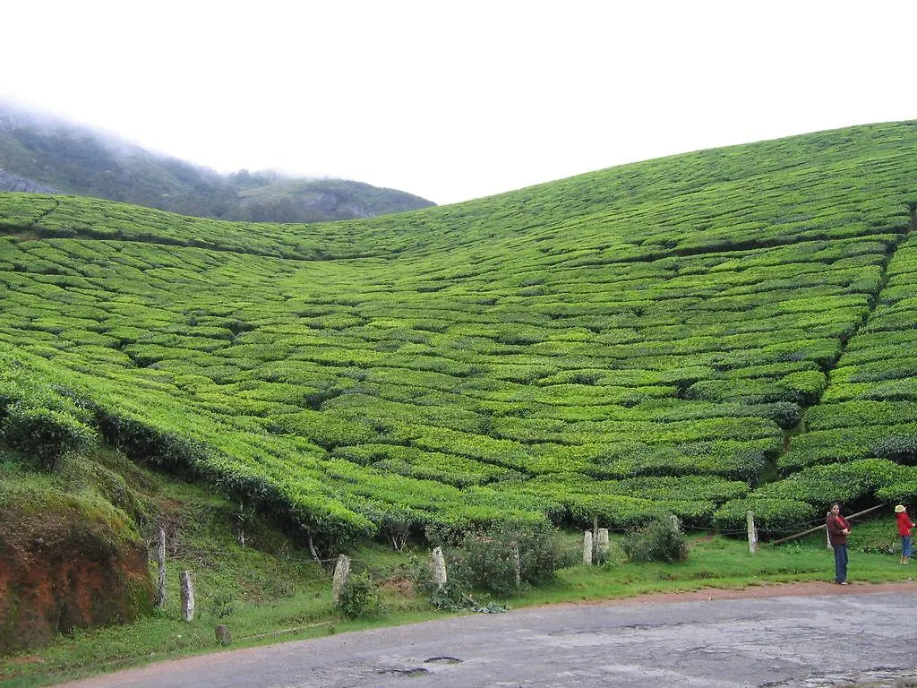 ****  Hotel Grand Plaza Munnar Indie