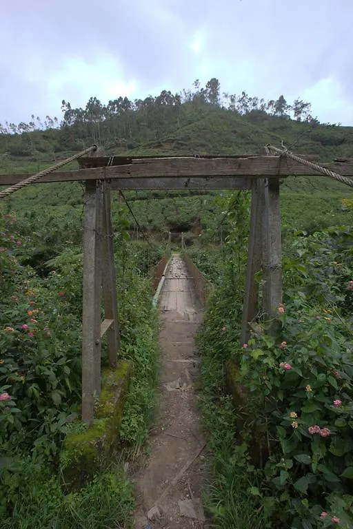 Hotel Grand Plaza à Munnar Inde