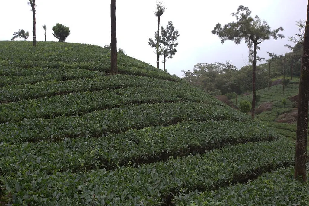 Hotel Grand Plaza à Munnar